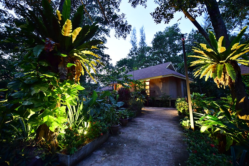 The Touch Green : One Bedroom Villa with Jacuzzi